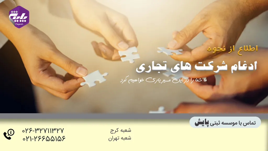ادغام شرکت های تجاری