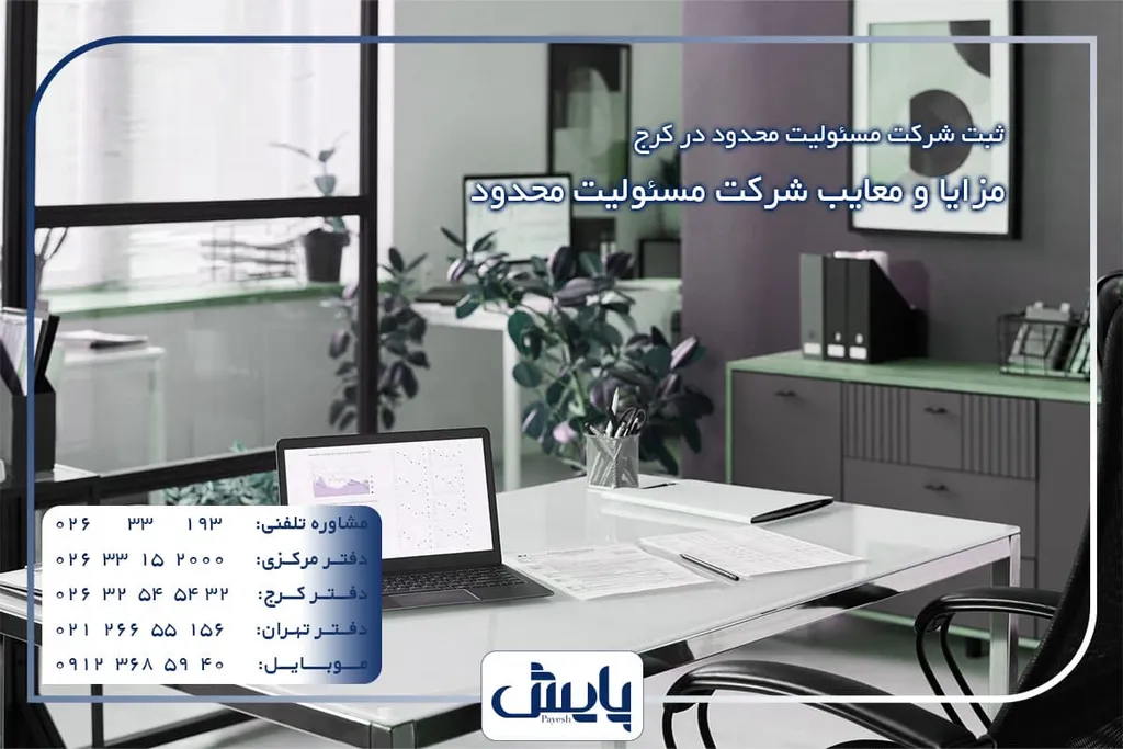 مزایا و معایب شرکت مسئولیت محدود