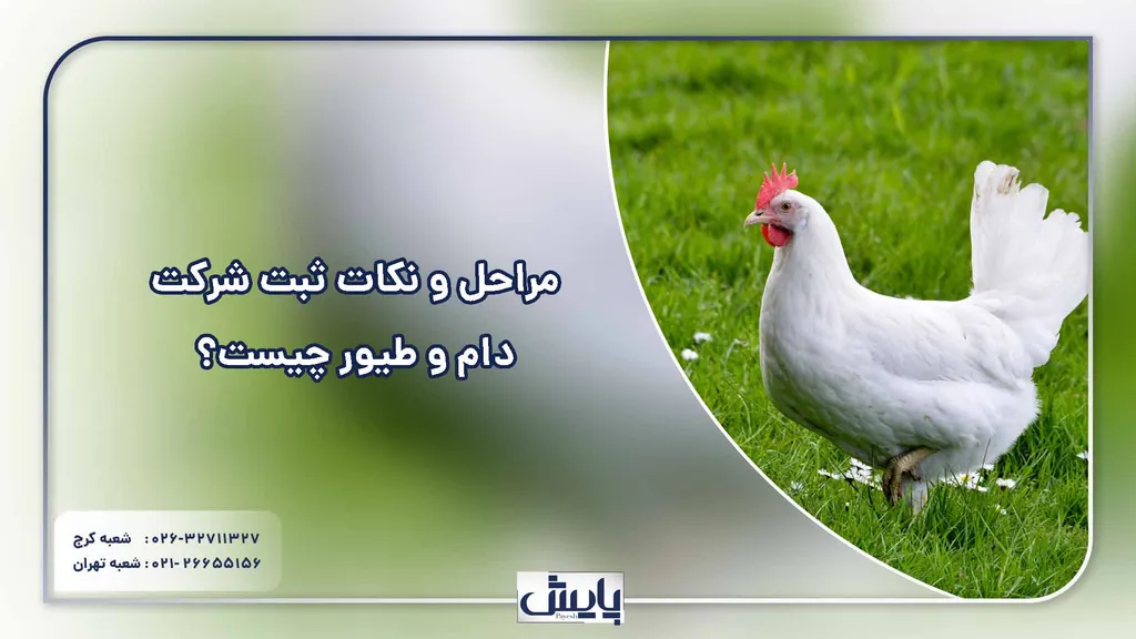 مراحل و نکات ثبت شرکت دام و طیور چیست؟