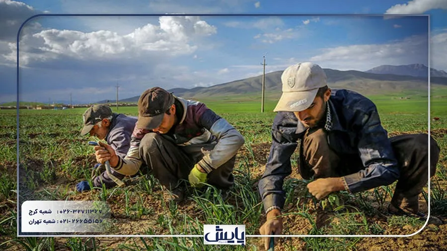برای ثبت شرکت تعاونی روستایی در ایران، متقاضیان باید با مراحل قانونی و الزامات آشنا شوند تا بتوانند کسبوکار خود را تأسیس کنند.