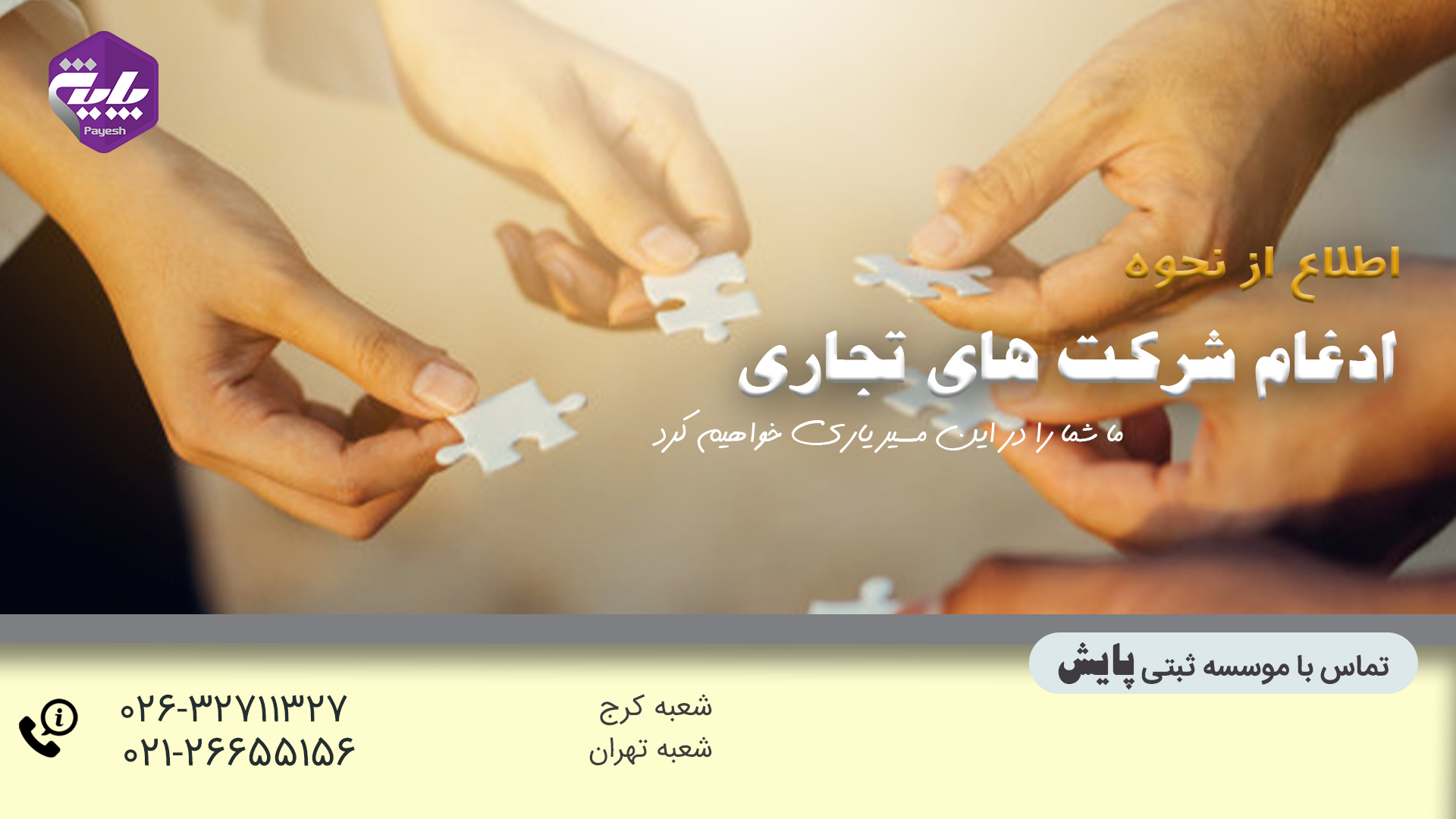 ادغام شرکت های تجاری
